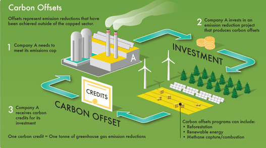 Waste-to-Energy Solutions
